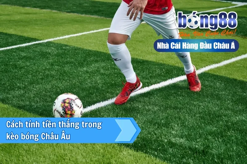 Kèo Châu Âu Bong88 - Kèo Cược Thú Vị Và Hot Nhất 2025 3 Cách tính tiền thắng trong kèo bóng Châu Âu